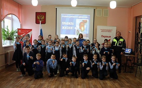 Рязанская Госавтоинспекция организовала акцию "Засветись!" в двух районах области