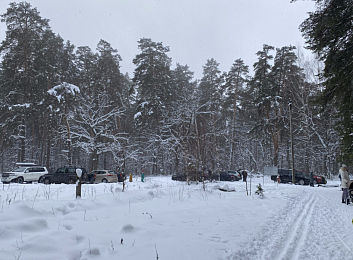 Зимние развлечения: чем заняться в Рязани в снежном январе