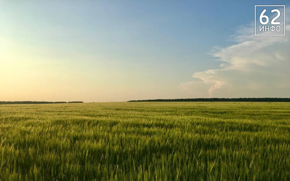 Шацкое юрлицо предупредили за непредоставление данных Россельхознадзору - 62ИНФО