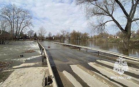 В Рязанской области затоплен 21 мост и 5 участков дорог