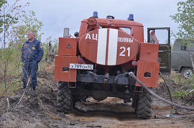 Дым без огня. Как выглядит лесной пожар под Рязанью спустя неделю 