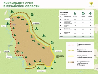 Рослесхоз показал карту горящих в Рязанской области лесов