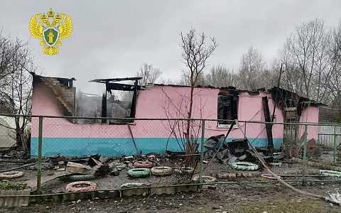 Стали известны подробности смертельного пожара в Сапожковском районе