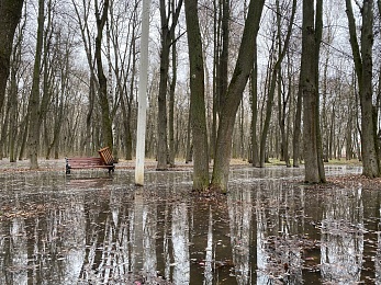 Половодье затопило Лесопарк в Рязани