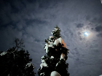 В Рязанской области сфотографировали "волчью" луну
