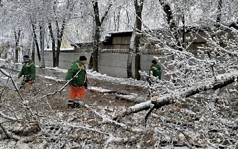 Городские службы устраняют последствия ненастья
