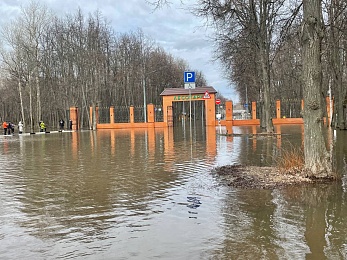 Фоторепортаж: рязанцы покоряют затопленный Лесопарк на лодках и сап-бордах - 62ИНФО Фоторепортаж: рязанцы покоряют затопленный Лесопарк на лодках и сап-бордах