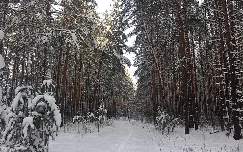 Названы лидеры по высоте сугробов в Рязанской области