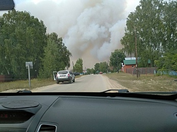 По ту сторону реки: как тушат пожары в рязанских лесах