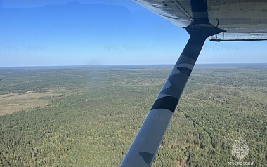 Авиаразведка МЧС прошла над 4 районами Рязанской области