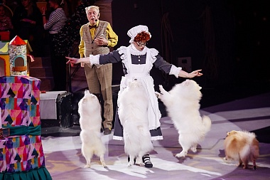 Первые зрители оценили "Новогоднюю тайну пирата" в Рязанском цирке