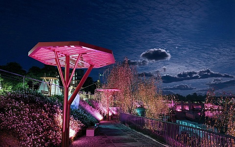 «Зелёный сад - наш дом» победил в Национальной премии «Лидеры ответственного бизнеса»