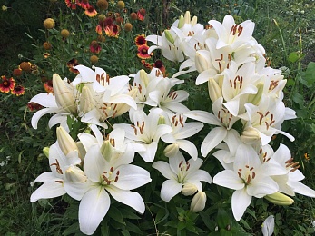 Провожаем лето: красивые фото Рязанской области с настроением отпуска