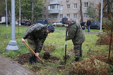 Ветераны СВО и десантники помогли озеленить Гвардейский сквер в Рязани