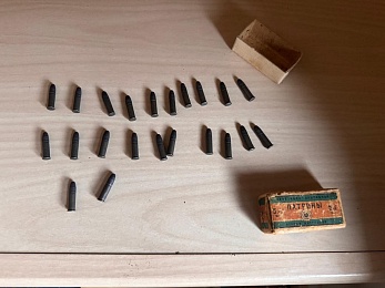 Рязанцы хранили в коттедже оружие и марихуану