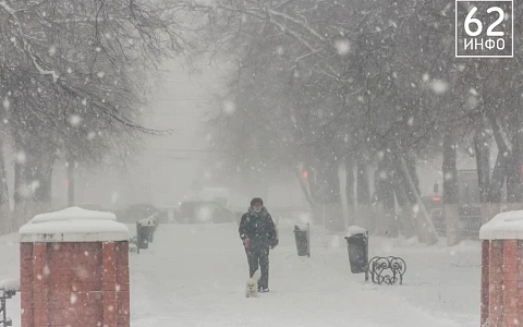 Еще 60 см снега и буран: рязанцев ждет неделя ненастья