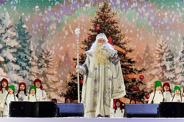 Рязанцам и гостям рассказали о ключевых событиях «Новогодней столицы»