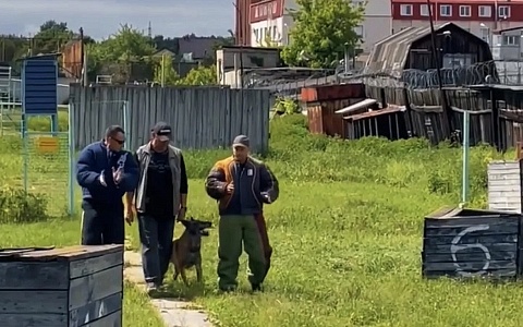Спортсмен-кинолог провел тренировку для специалистов на базе рязанской колонии