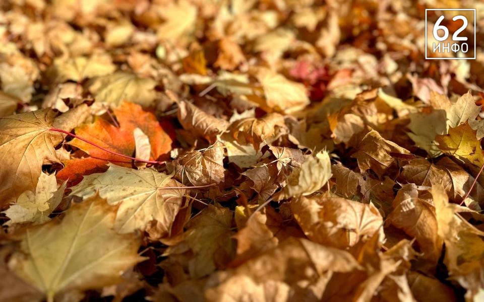В Рязанской области 4 ноября наступит потепление - 62ИНФО