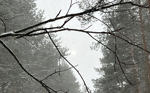 Рязанцев предупредили о трех опасных факторах погоды