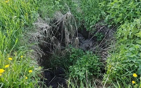 В Рыбновском округе прорвало канализацию