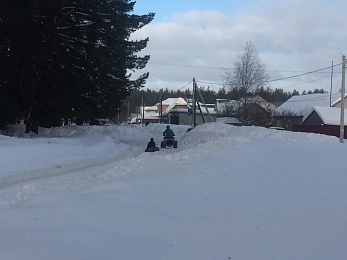 Под Рязанью сфотографировали детей, катающихся по дороге на снегоходе с привязанным тюбингом