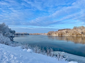 Снег и гирлянды превратили Рязань в новогоднюю открытку