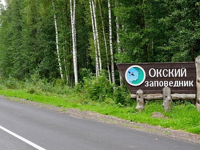 В Рязанской области отремонтировали дорогу к Окскому заповеднику В Рязанской области отремонтировали дорогу к Окскому заповеднику