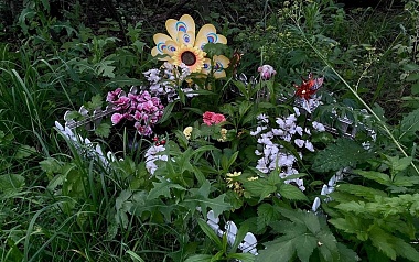 Кладбища домашних животных: где в Рязани хоронят кошек и собак