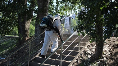 Специалисты обработали рязанские водоёмы от комаров