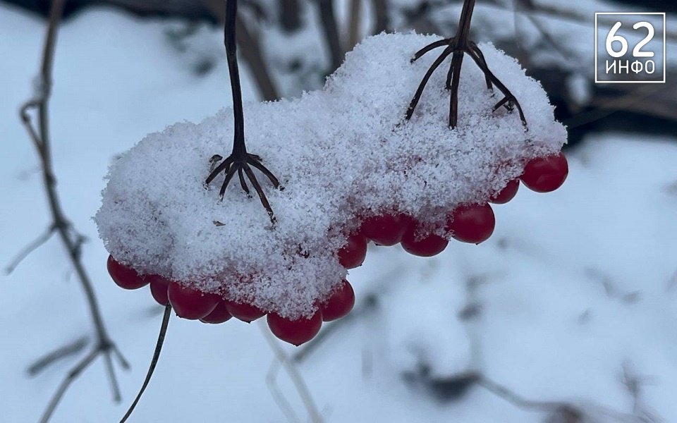 МЧС предупреждает рязанцев о стремительном похолодании - 62ИНФО