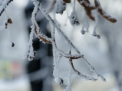 Синоптики рассказали о погоде на воскресенье в Рязанской области