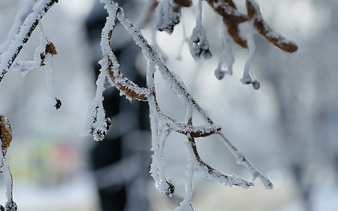 Синоптики рассказали о погоде на воскресенье в Рязанской области