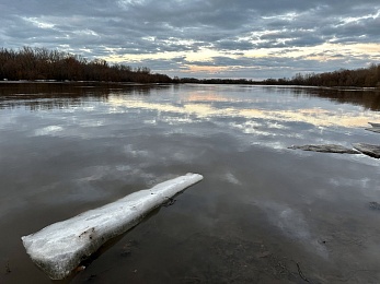 Ореховое озеро под Рязанью вышло из берегов из-за паводка