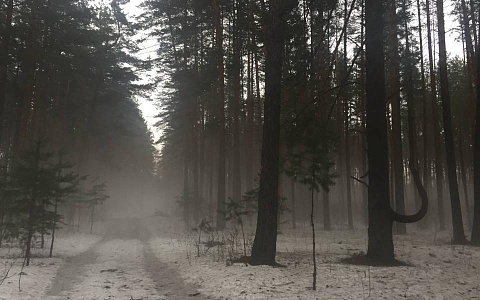 На Рязанскую область спустится и установится туман до 21 января