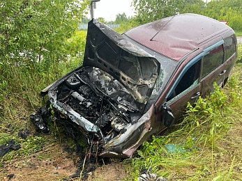Четыре человека пострадали при вылете Lada с дороги в Рязани