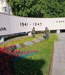 Из-за жары в Рязани начали поливать высаженные растения