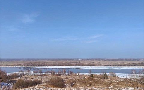 «Край ты мой заброшенный»: Рязанская область как мечта «одиозной организации»