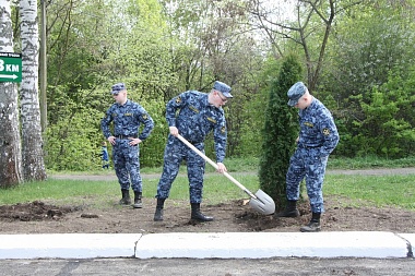 В Рязани высадили новые туи в Мемориальном парке
