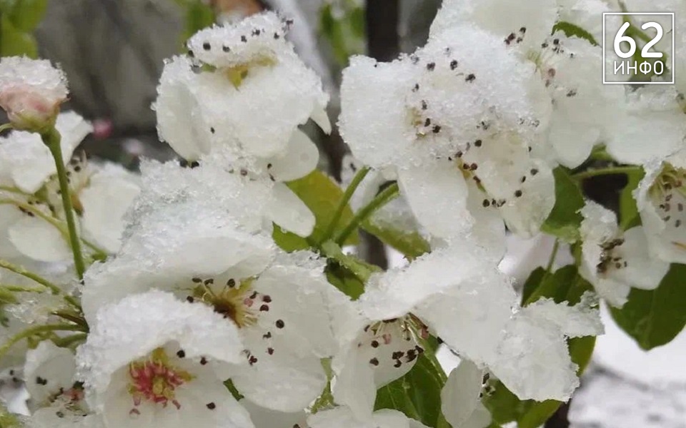 В Рязанской области 7 апреля ждут мокрый снег в трех районах - 62ИНФО