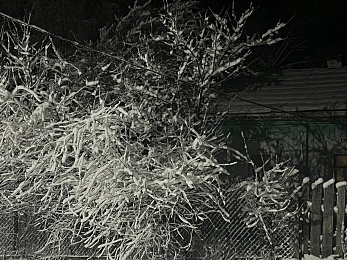 Снежное полнолуние марта сфотографировали в рязанской глубинке - 62ИНФО Снежное полнолуние марта сфотографировали в рязанской глубинке