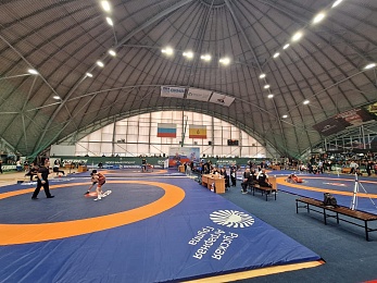 Рязань принимает Всероссийские соревнования по греко-римской борьбе среди юношей - 62ИНФО Рязань принимает Всероссийские соревнования по греко-римской борьбе среди юношей