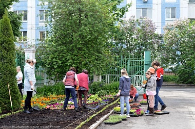 В рязанской школе № 14 перед последним звонком высадили 14 тысяч растений - 62ИНФО В рязанской школе № 14 перед последним звонком высадили 14 тысяч растений