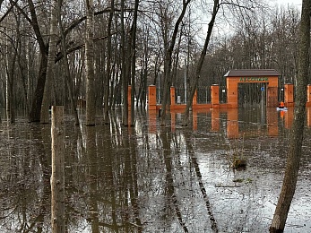 Фоторепортаж: жители оседлали волны рязанского Лесопарка