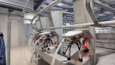 В Касимовском районе завершился первый этап строительства фермы на 2000 коров 