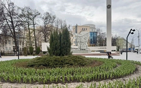 К 9 мая Рязань украсят бархатцами и розами