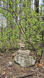 В Солотче обнаружили «аллею сейдов»