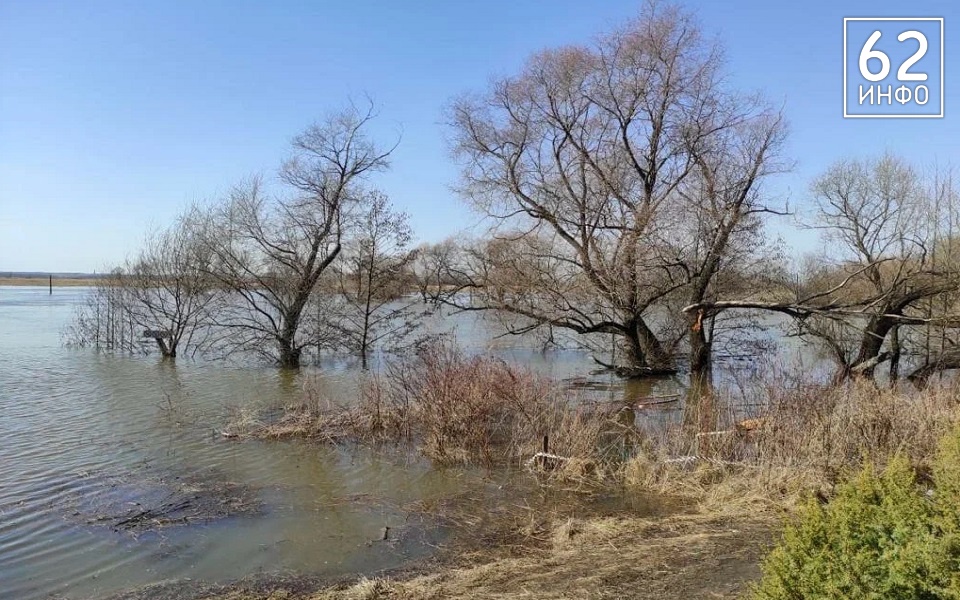 В Рязанской области вода в Оке пошла на спад - 62ИНФО