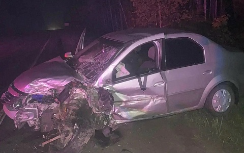 Водитель «ВАЗа» погиб в ночном ДТП под Касимовом
