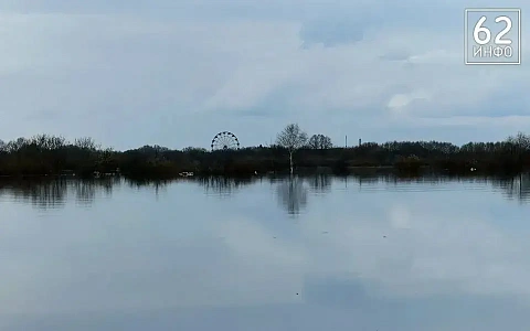 В Рязанской области затоплены 3 моста и 2 дороги